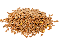 Flax Seeds